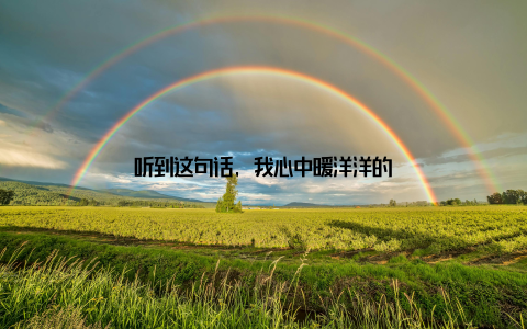 听到这句话, 我心中暖洋洋的