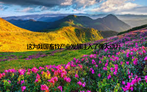 这为我国畜牧产业发展注入了强大动力