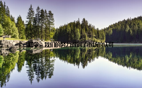 如今, 我们的努力得到了市场的认可