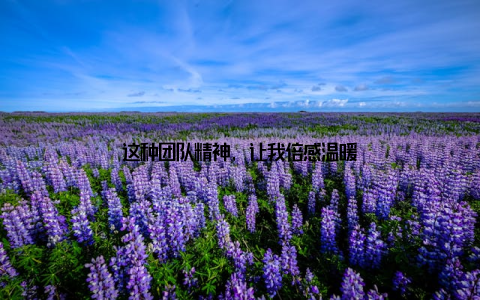 这种团队精神, 让我倍感温暖