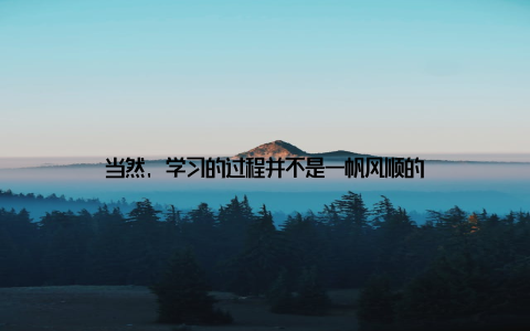 当然, 学习的过程并不是一帆风顺的