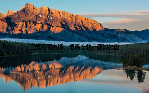 三是拓展市场, 提高畜牧产品知名度