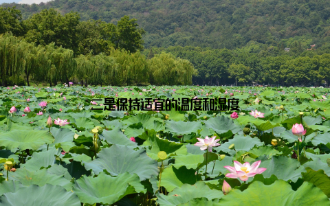 二是保持适宜的温度和湿度