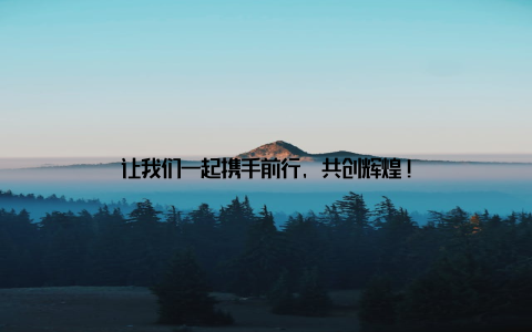 让我们一起携手前行, 共创辉煌!