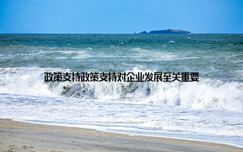 政策支持政策支持对企业发展至关重要