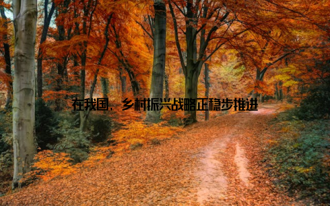 在我国, 乡村振兴战略正稳步推进