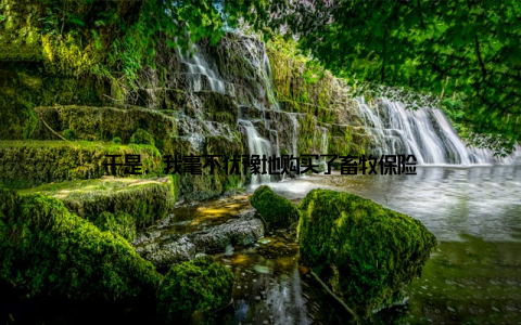 于是, 我毫不犹豫地购买了畜牧保险