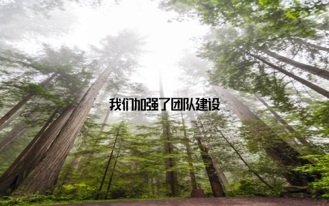 我们加强了团队建设
