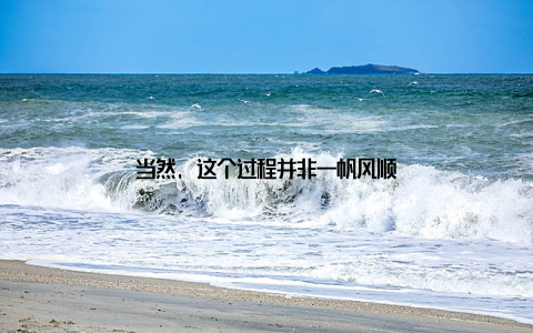 当然, 这个过程并非一帆风顺