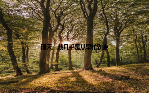 那天, 我几乎是从早忙到晚