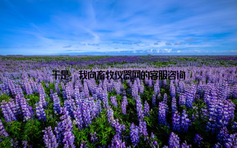 于是, 我向畜牧仪器网的客服咨询