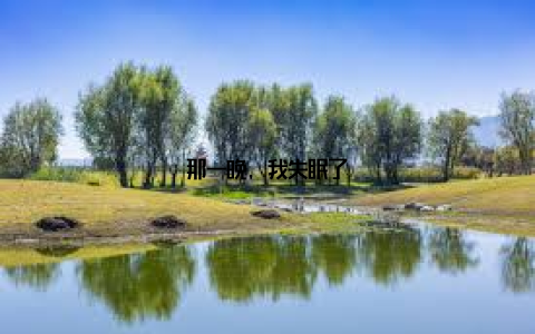 那一晚, 我失眠了